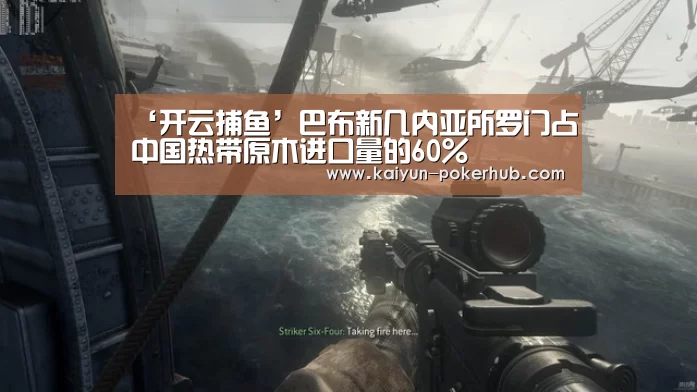 ‘开云捕鱼’巴布新几内亚所罗门占中国热带原木进口量的60%(图3) 开云滚球