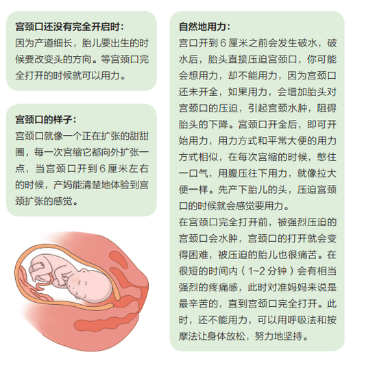 开云真人平台