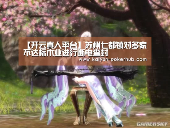 【开云真人平台】苏州七都镇对多家不达标木业进行断电查封(图2) 开云滚球