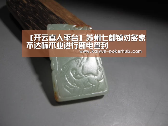 【开云真人平台】苏州七都镇对多家不达标木业进行断电查封(图1) 开云真人平台